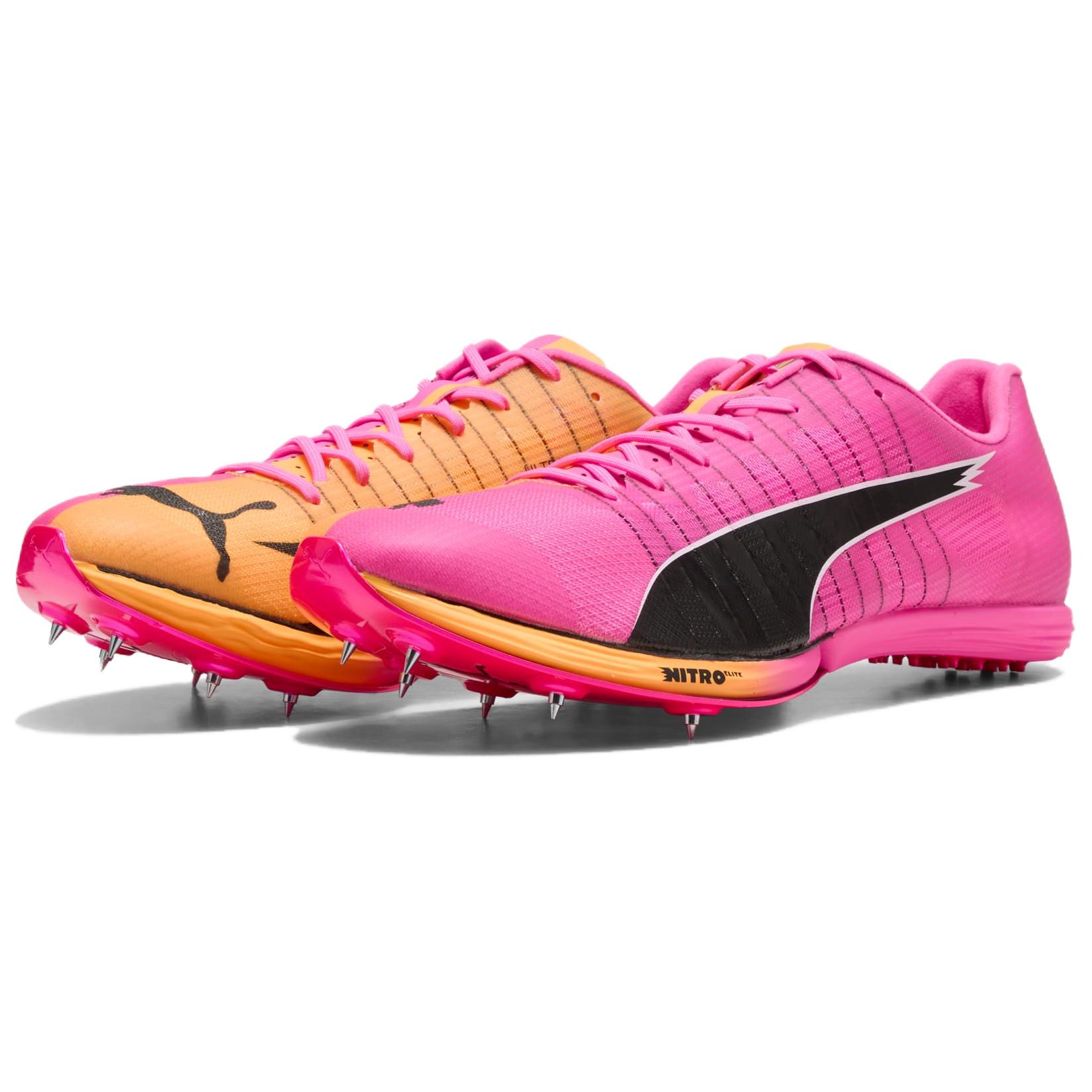 푸마 에보스피드 남성용 핑크 오렌지색 러닝화 31374 - Men Shoes Puma 리뷰 및 가격